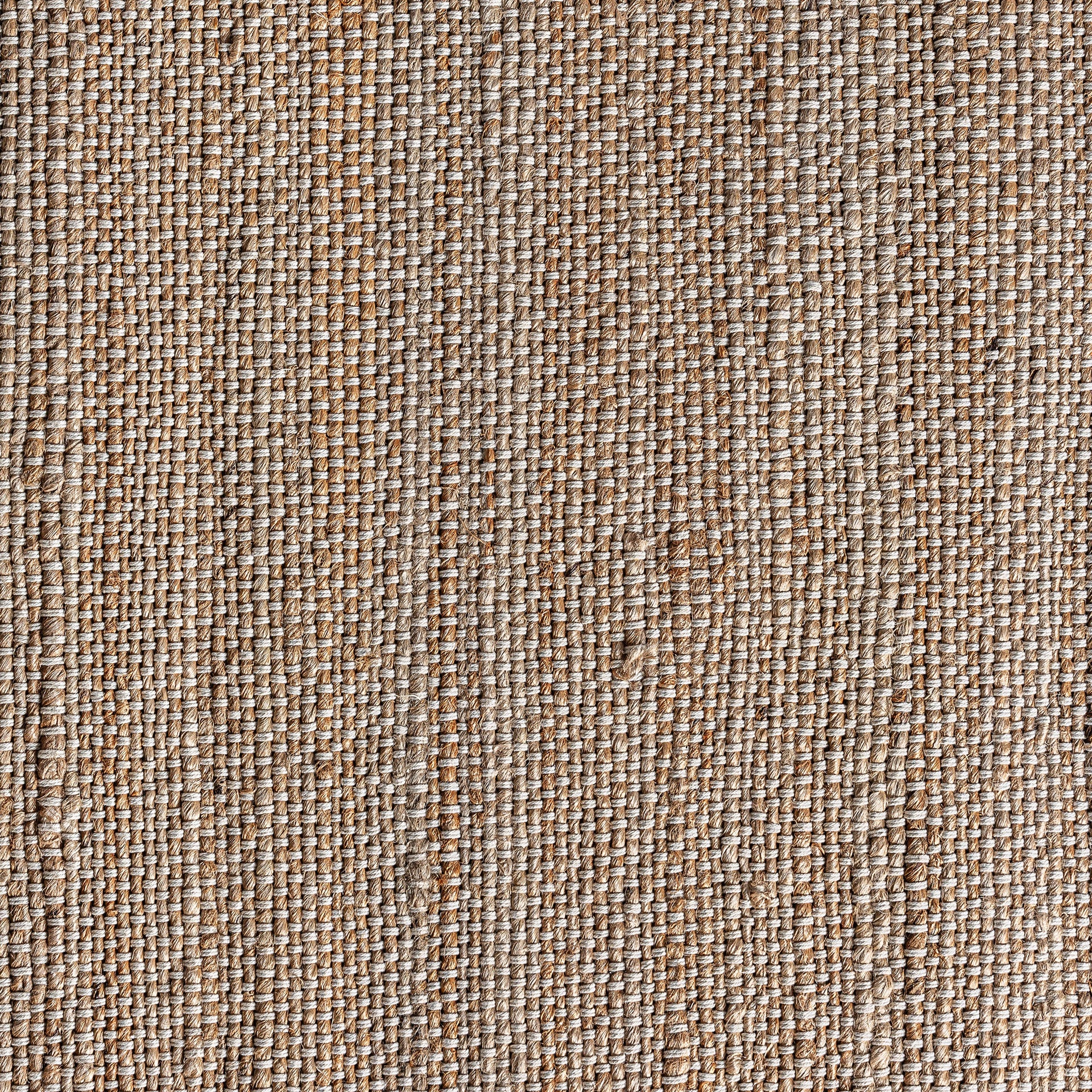 ZALIKA CARPET